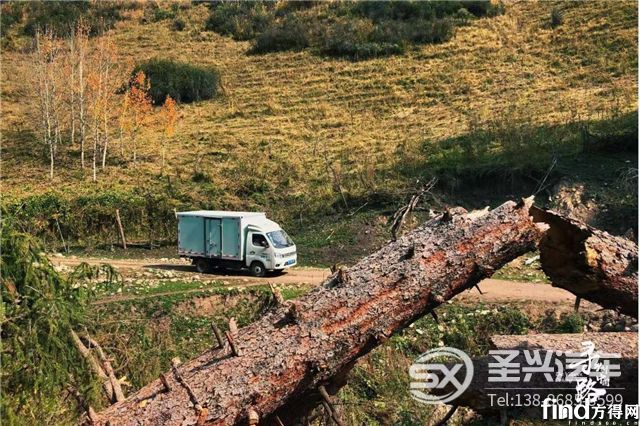 瓜果運輸忙不停，祥菱開創致富經1