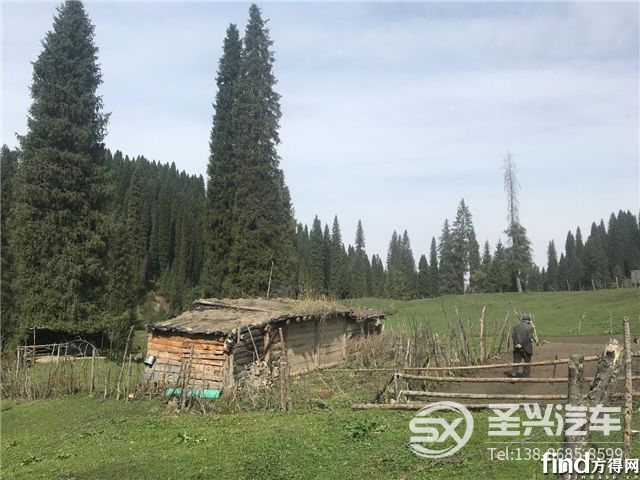 瓜果運輸忙不停，祥菱開創致富經7